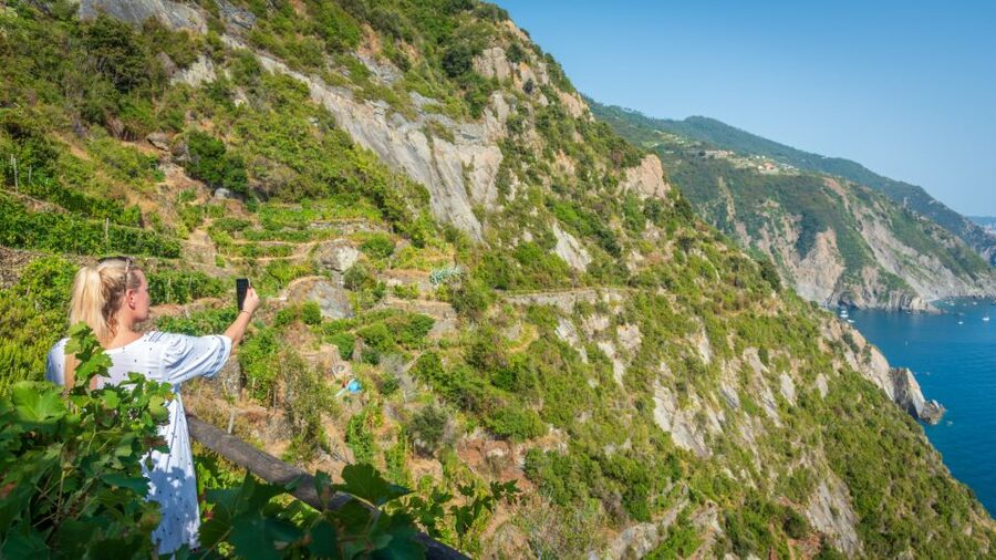 Riomaggiore: Vineyard & Wine Cellar Tour with Wine Tasting - The cliffside vineyard and its steep terraces