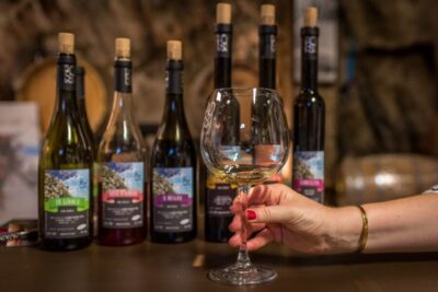 Riomaggiore: Vineyard & Wine Cellar Tour with Wine Tasting