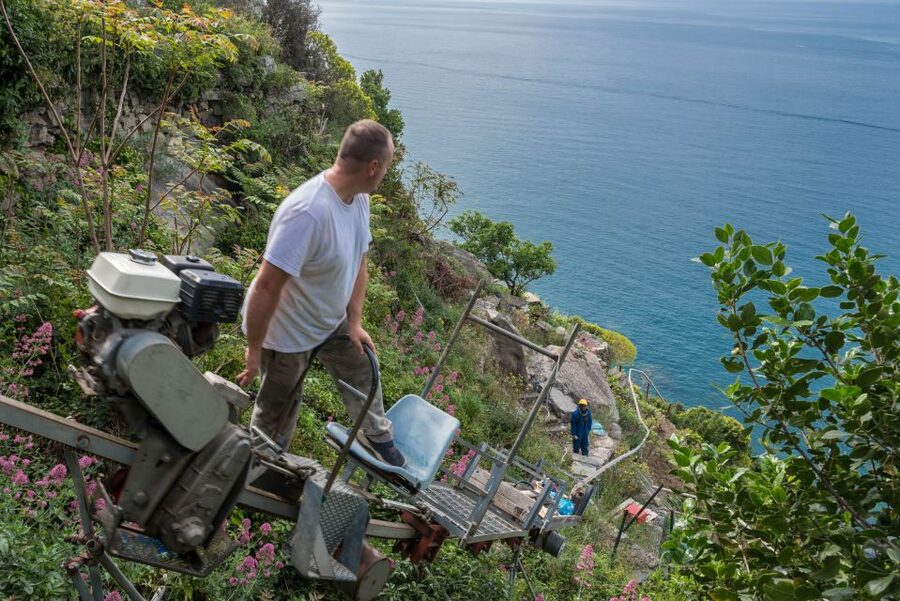 Riomaggiore: Vineyard & Wine Cellar Tour with Wine Tasting - Small details that improve the day