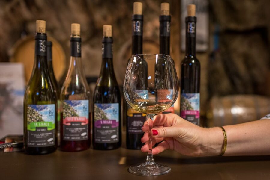Riomaggiore: Vineyard & Wine Cellar Tour with Wine Tasting - Walking from the station to the meeting point
