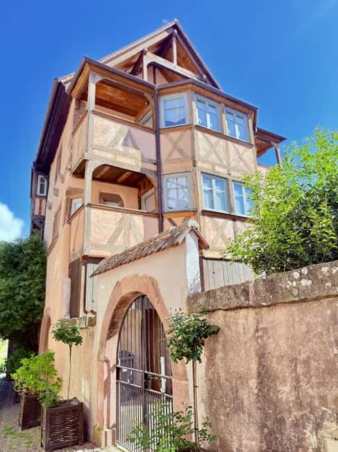 Riquewihr: the pearl of the vineyards with a local guide and tastings - Key points to know before you book