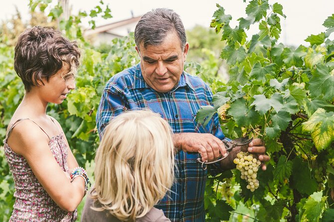 Rome: Frascati Private Day Trip - Town Tour, Lunch & Wine Tasting - Who will enjoy this outing most