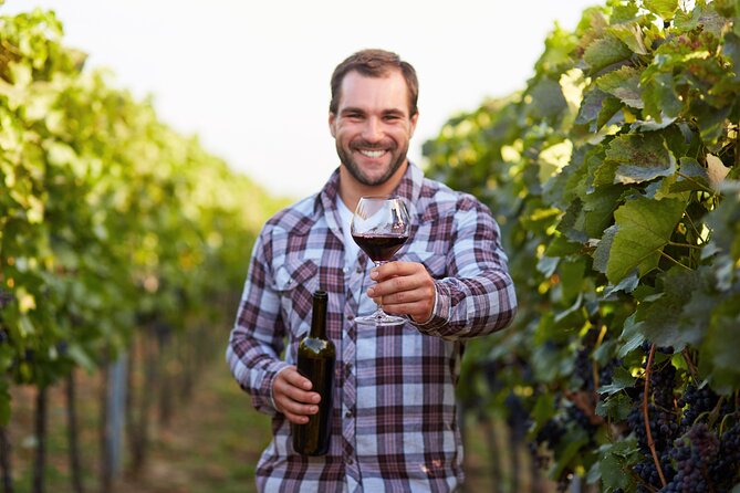 Rome: Frascati Private Day Trip - Town Tour, Lunch & Wine Tasting - Meeting at Roma Termini and getting out of the city
