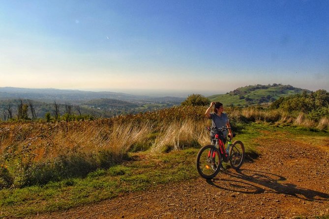 Rome: Frascati Vineyard Bike Tour with Train Tickets - Key points to know before booking