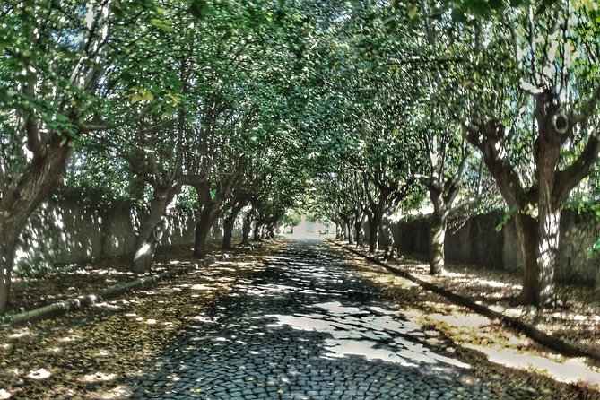 Rome: Frascati Vineyard Bike Tour with Train Tickets - Frascati town and Villa Aldobrandini