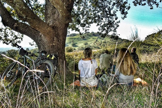 Rome: Frascati Vineyard Bike Tour with Train Tickets - Is the $176.34 price fair?