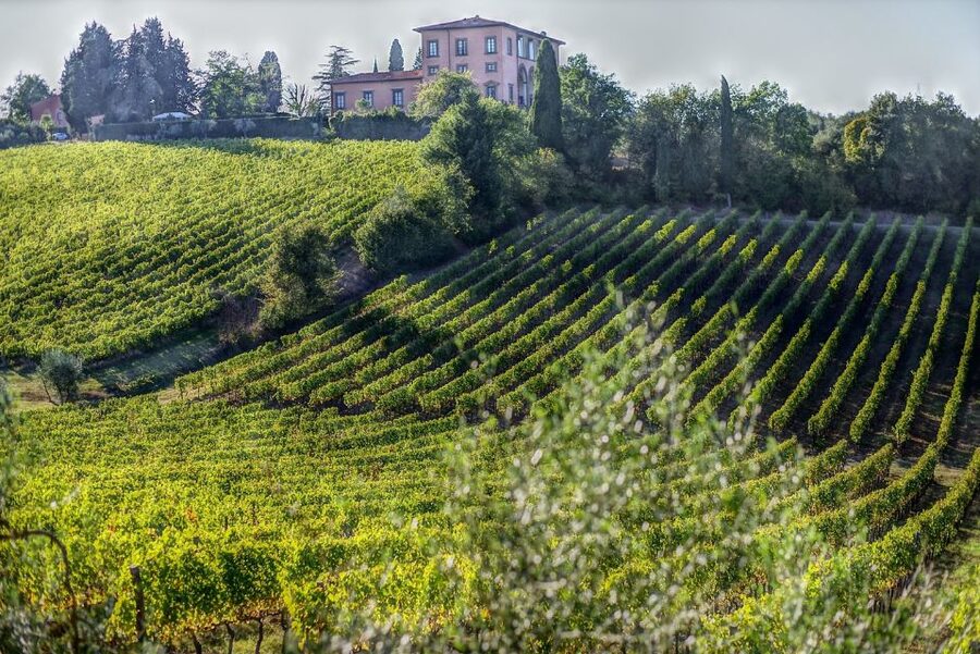 Rome: Private Tour to San Gimignano, Siena & Winery Visit - What the private format adds