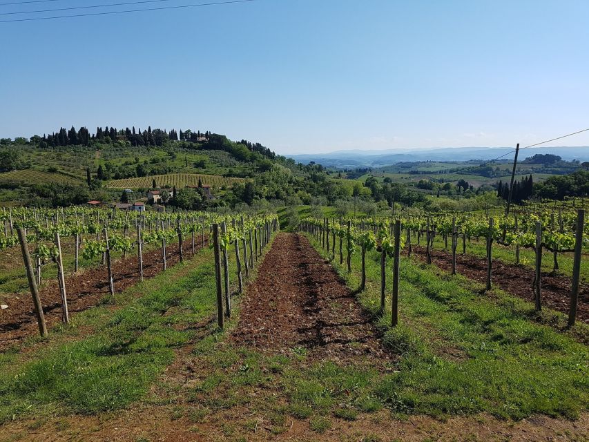 Rome: Private Tour to San Gimignano, Siena & Winery Visit - Is the $1,259.09 price good value?