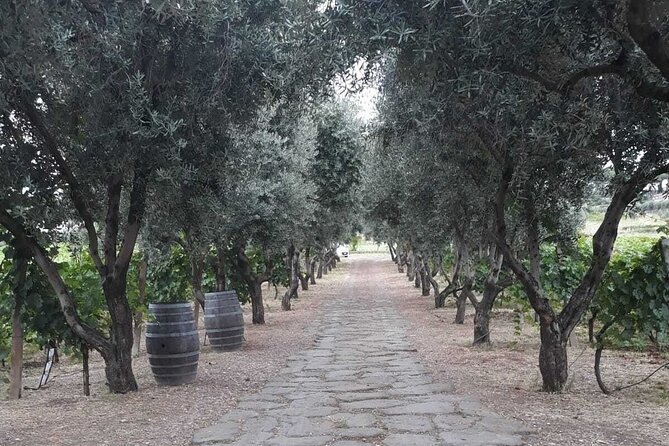 Rome: Wine Tour & Pizza Making Class in a Frascati's vineyard - 5 hours - Learning Roman pizza with a professional chef