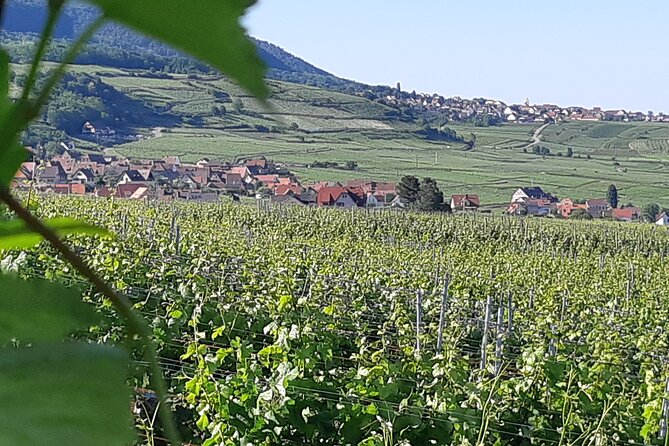Safari-Tour Villages and vineyard, 1/2 day afternoon - Kaysersberg: another 45-minute village visit