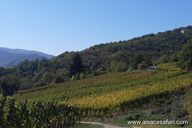 Safari-Tour Villages and vineyard, 1/2 day afternoon - Ana and Eric’s guiding style