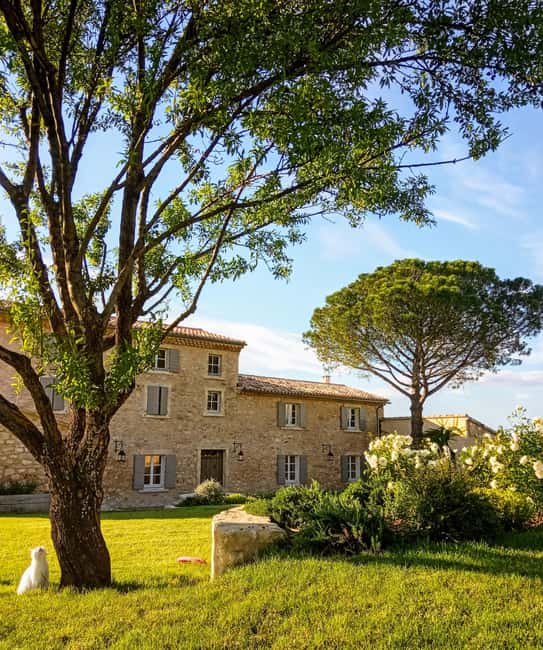 Saint-Didier: visit a vineyard & taste organic wines - Key points to know before you book