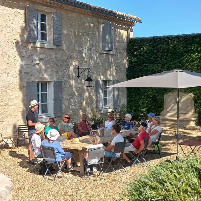 Saint-Didier: visit a vineyard & taste organic wines - A family vineyard with Mont Ventoux in view