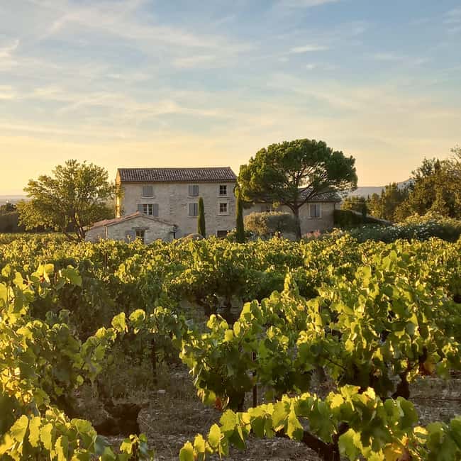 Saint-Didier: visit a vineyard & taste organic wines - Three wines, three different personalities