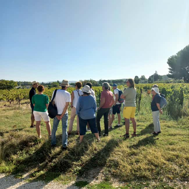 Saint-Didier: visit a vineyard & taste organic wines - Why the private format matters