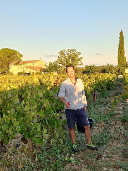 Saint-Didier: visit a vineyard & taste organic wines - Who will enjoy this experience most
