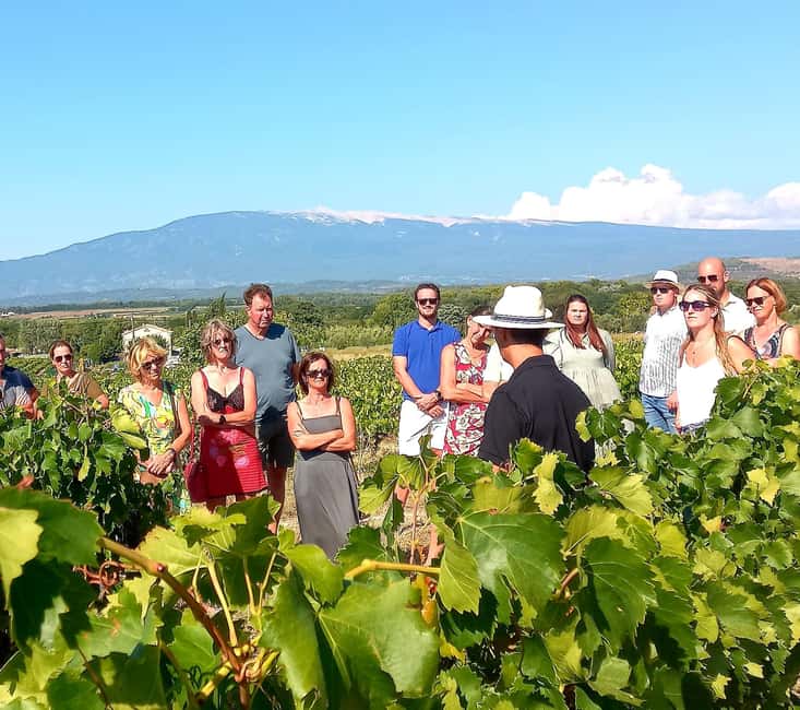 Saint-Didier: visit a vineyard & taste organic wines - Timing, language, and practical planning