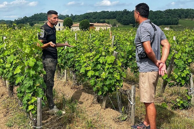 Saint-Émilion: 2 hours - Visit of the vineyard, the cellar and tasting - Key points to know before booking