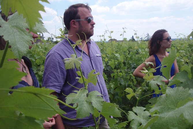 Saint-Émilion: 2 hours - Visit of the vineyard, the cellar and tasting - What makes Château Haute-Nauve different