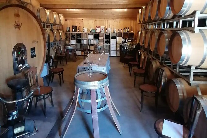 Saint-Émilion: 2 hours - Visit of the vineyard, the cellar and tasting - Why the $30.04 price is reasonable