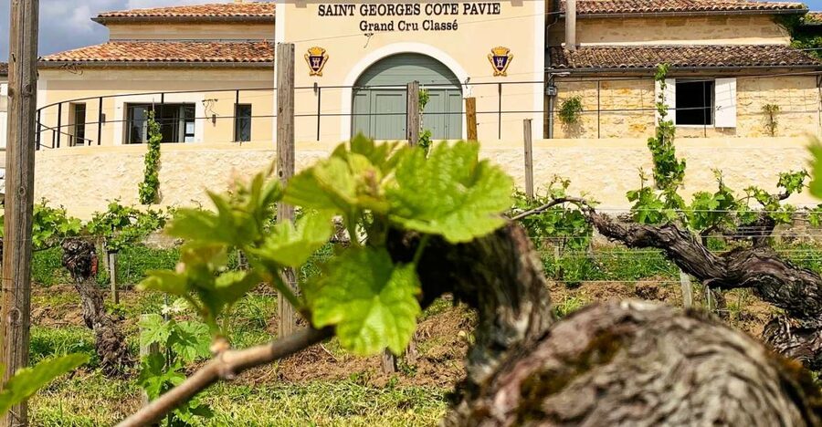 Saint-Émilion: Bordeaux Vineyard Tour and Wine Tasting - Inside the cellar and barrel rooms