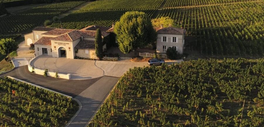 Saint-Émilion: Bordeaux Vineyard Tour and Wine Tasting - How the one-hour schedule works