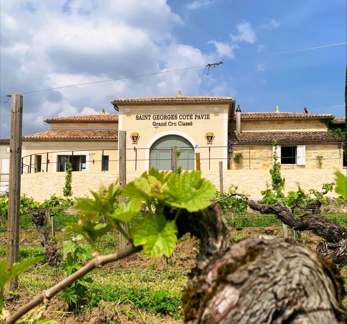 Saint-Émilion: Bordeaux Vineyard Tour and Wine Tasting - What the small group changes