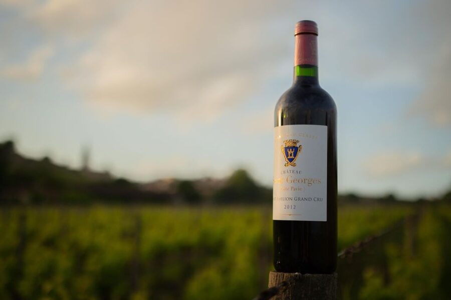 Saint-Émilion: Bordeaux Vineyard Tour and Wine Tasting - Who will get the most from this visit