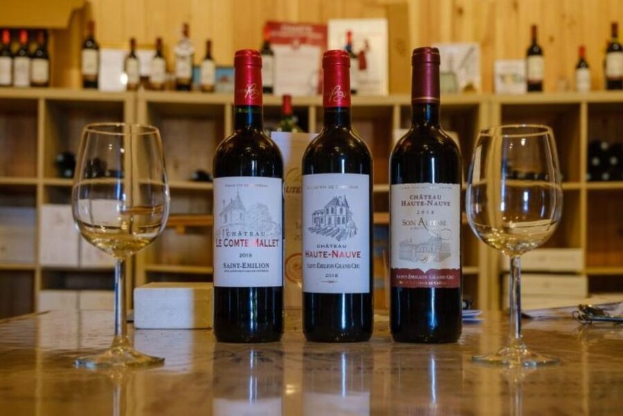 Saint-Émilion: Family Vineyard Visit with Wine Tasting - What happens in the vinification cellar