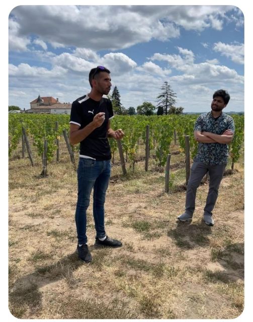 Saint-Émilion: Family Vineyard Visit with Wine Tasting - Timing, comfort, and planning tips