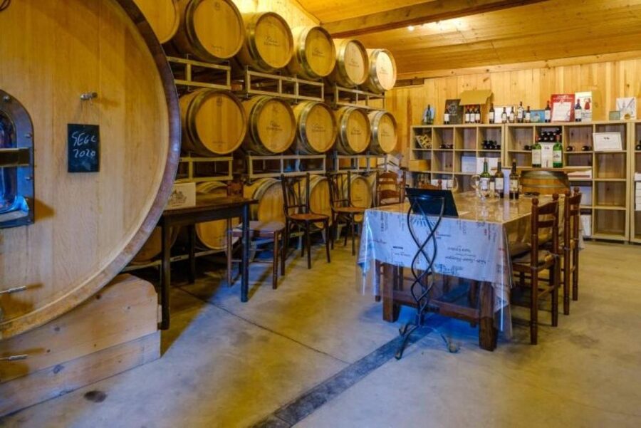 Saint-Émilion: Family Vineyard Visit with Wine Tasting - Should you book Château Haute-Nauve?