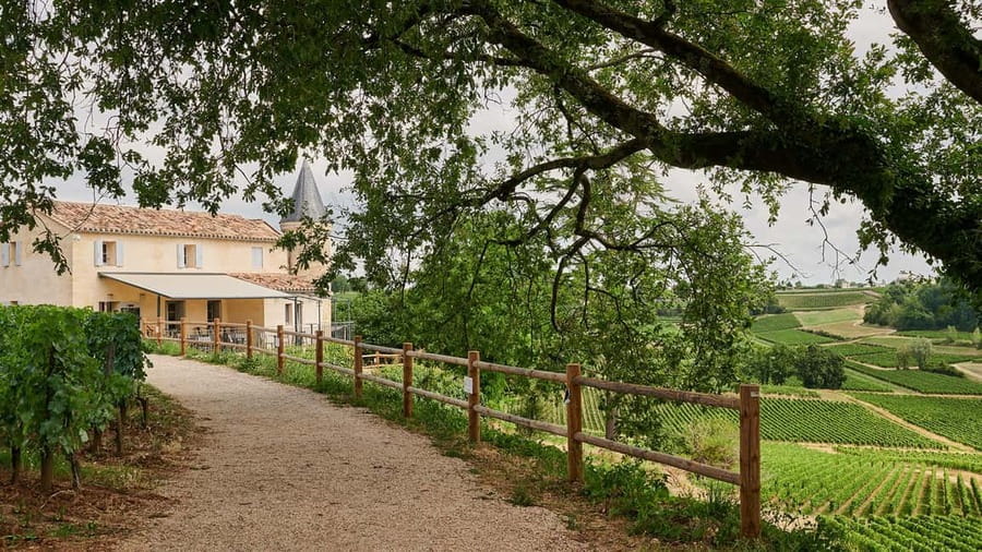 Saint-Emilion: Grand Cru Classé Guided Winery Visit & Picnic - Tour Baladoz and the traditional side of Bordeaux wine