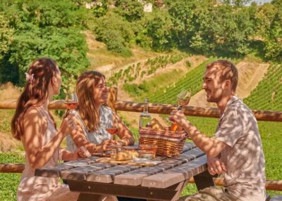 Grand Cru Classé Guided Winery Visit & Picnic