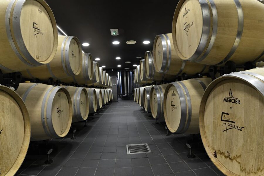Saint-Émilion: Grand Cru Classé Winery Visit and Tasting - Three wines and a practical tasting lesson