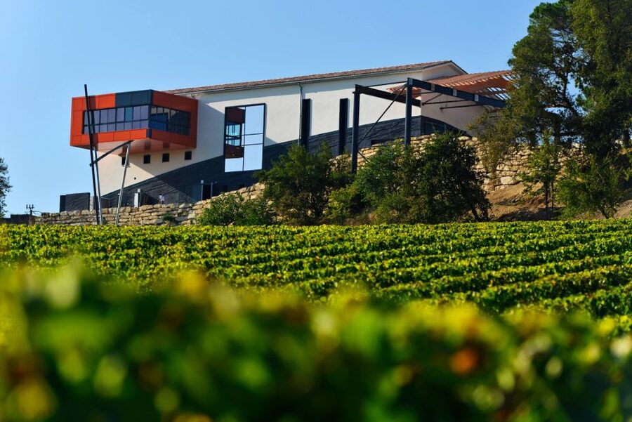 Saint-Émilion: Grand Cru Classé Winery Visit and Tasting - Is $23 a fair price?