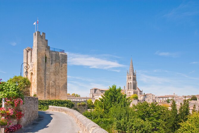 Saint Emilion Half-Day Trip with Wine Tasting & Winery Visit from Bordeaux - Who should book this experience?