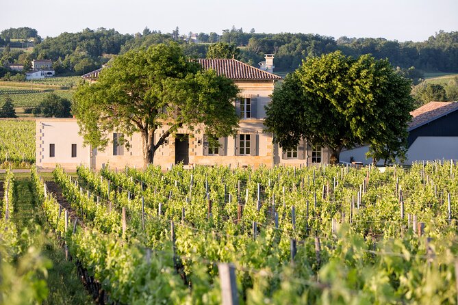 Saint Emilion Half-Day Trip with Wine Tasting & Winery Visit from Bordeaux - Practical advice for a smoother afternoon