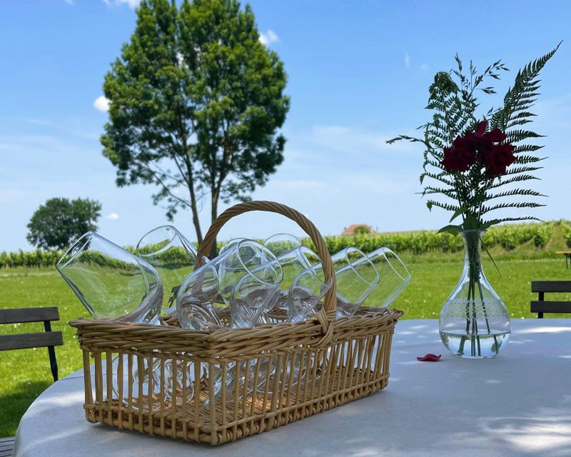 Saint-Emilion: Morning Tour with Wine Tasting & Snack - Tasting two wines with a French snack