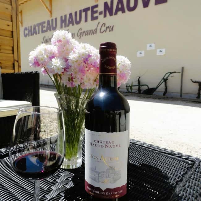 Saint-Emilion : Tasting of 4 wines in a family vineyard - A 40-minute format that rewards punctual arrivals
