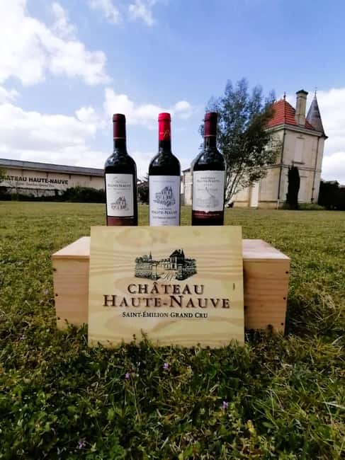 Saint-Emilion : Tasting of 4 wines in a family vineyard - The opening talk explains Saint-Émilion without taking over the tasting