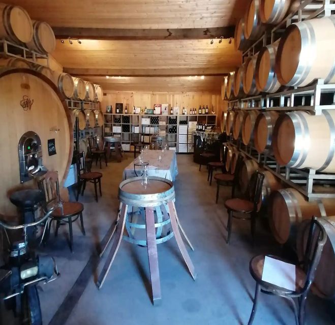 Saint-Émilion: Vineyard Walking Tour and Tasting - Key points to know before you book