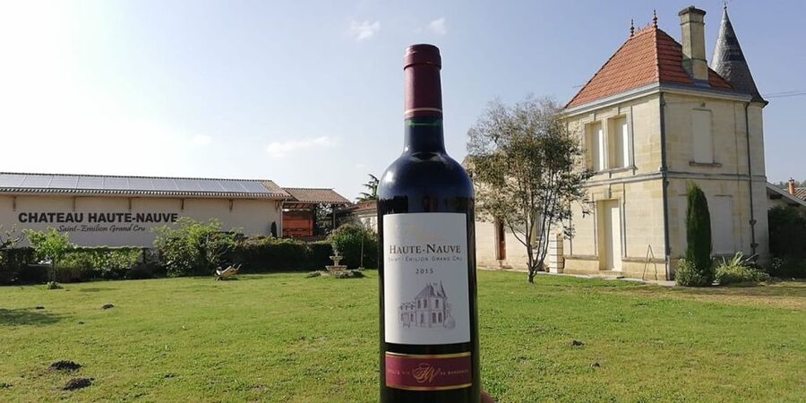 Saint-Émilion: Vineyard Walking Tour and Tasting - Walking the vines with Florent or Marie-Anne