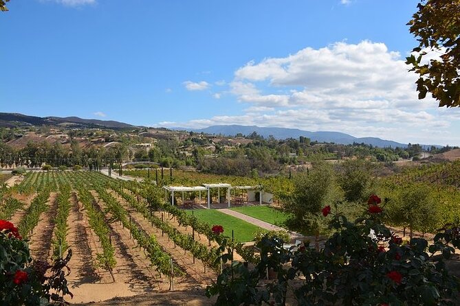 San Diego to Temecula: Wine Country Tour & Historic Old Town - Callaway finishes with room for your own pace