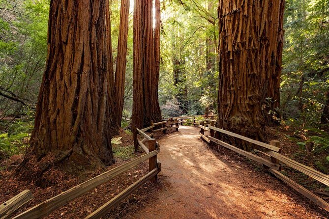 San Francisco: Armstrong Redwoods and Wine Tour with Tastings - Key points to know before booking