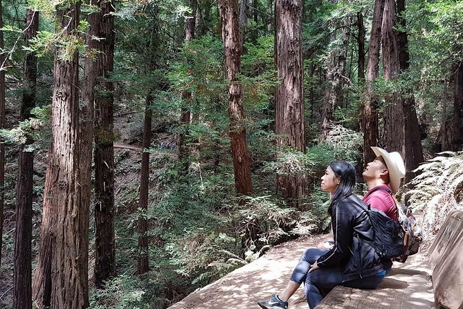 San Francisco: Armstrong Redwoods and Wine Tour with Tastings - Why this wine and redwoods pairing works