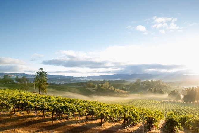 San Francisco: Full Day Coastal Redwoods & Wine Country Tour - A Russian River winery with a slower feel