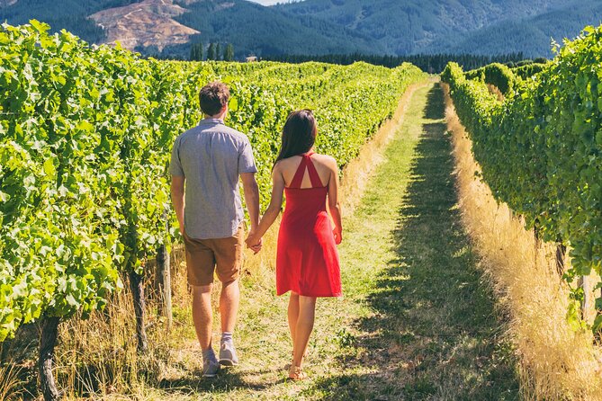 San Francisco: Full Day Coastal Redwoods & Wine Country Tour - Meeting near Fisherman’s Wharf at 8:30 am