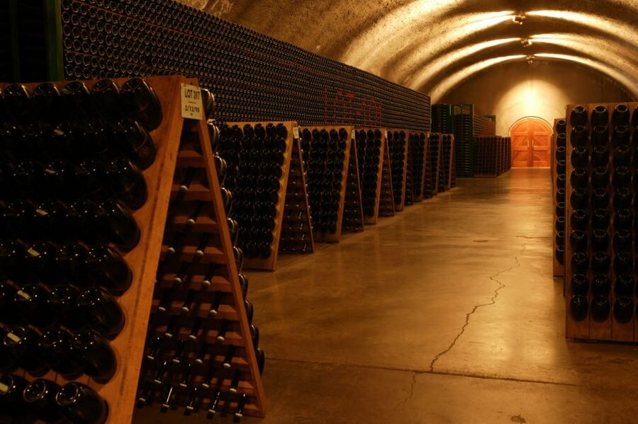 San Francisco: Guided Coastal Redwoods & Wine Country Tour - How the $143 price measures up