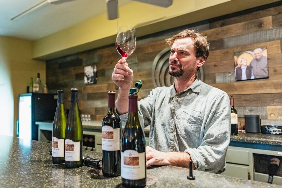 San Francisco: Half-Day Wine Country Excursion with Tastings - Why this half-day wine trip works in a busy San Francisco schedule
