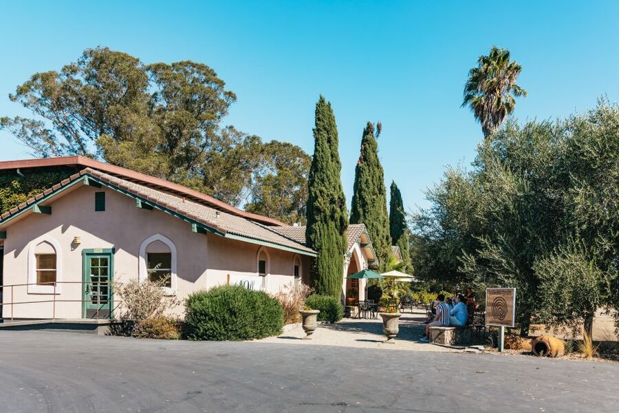 San Francisco: Half-Day Wine Country Excursion with Tastings - Reaching the vineyards and winery estates